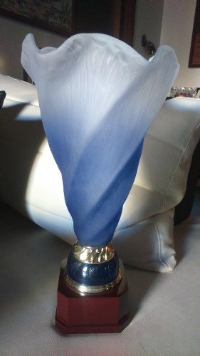Trofeo Florero En Cristal Murano