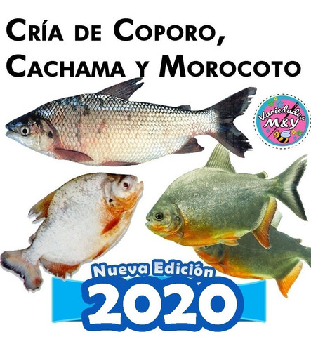 https://img.ve.class.posot.com/es_ve/2020/03/20/Aprenda-Cra-De-Coporo-Cachama-Y-Morocoto-Manual-Tips-Y-20200320042225.jpg