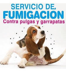 Fumigacion Profecional Contra Pulgas Y Garrapatas.