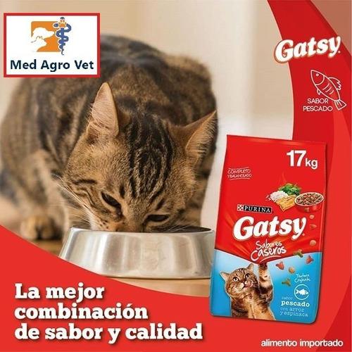 Gatsy 17 Kilos