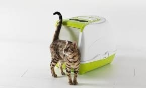 Arenero O Baño Para Gatos Flip Cat Large 50x39x37,