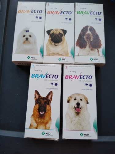 Bravecto Elimina Pulgas Y Garrapatas Por 3 Meses Garantizado