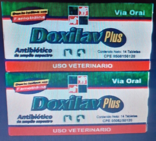 Doxilav Plus / Antibiotico / Infecciones / Perros