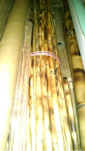 Palos De Bambu Gruesos Y Finos
