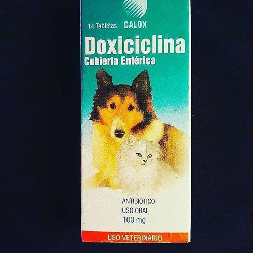 Pastilla De Freno Marca Doxiciclina