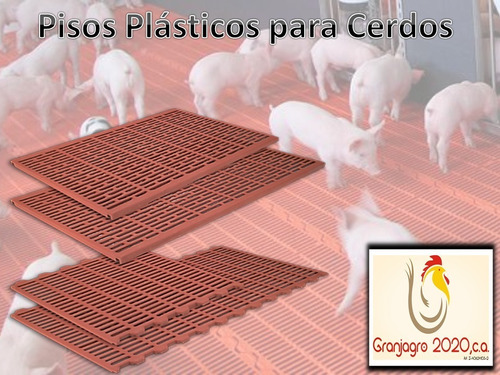 Pisos Plásticos Para Cerdos