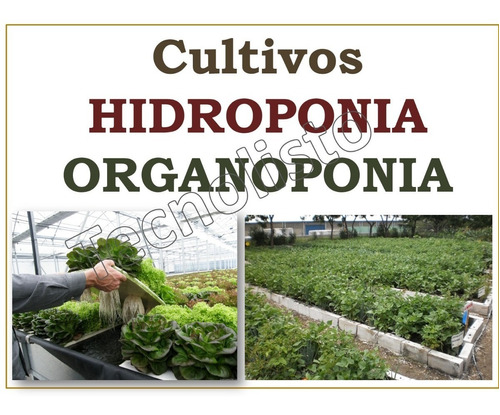 Kit Aprende Cultivos Hidropónicos Y Organopónicos