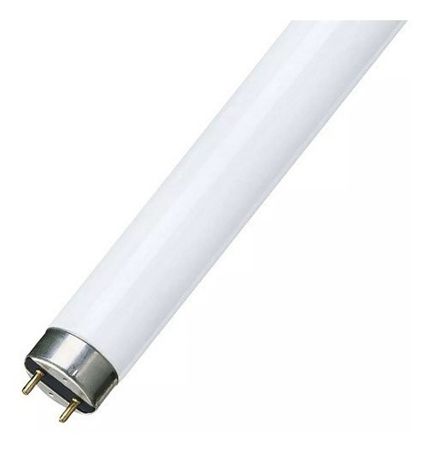 Bombillo Tubo Fluorescente T8 17w 60 Cm