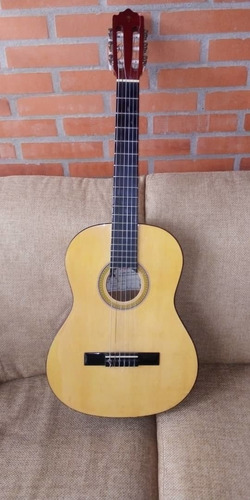 Guitarra Acústica Marca Palmer