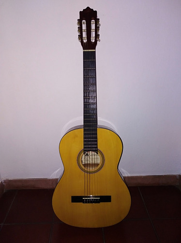 Guitarra Clásica Palmer Modelo Pc13b/nat