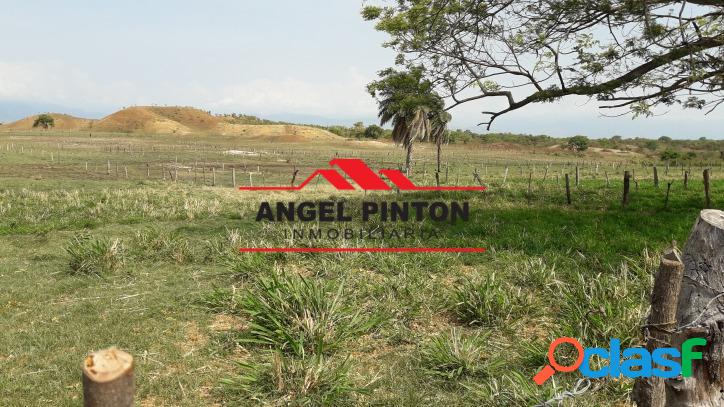 FINCA VENTA SECTOR LA VEGA MACHIQUES DE PERIJA API 3138
