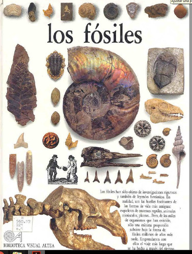 Biblioteca Visual Altea. Los Fósiles