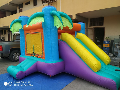 Cochon Inflable 3 X 3 Incluye Tobogan, Rampa De Acceso Nuevo