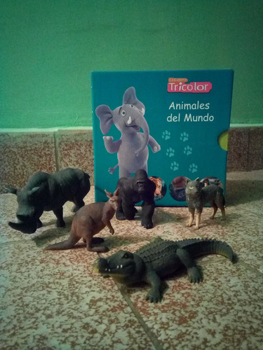 Colección De Libros Animales Del Mundo