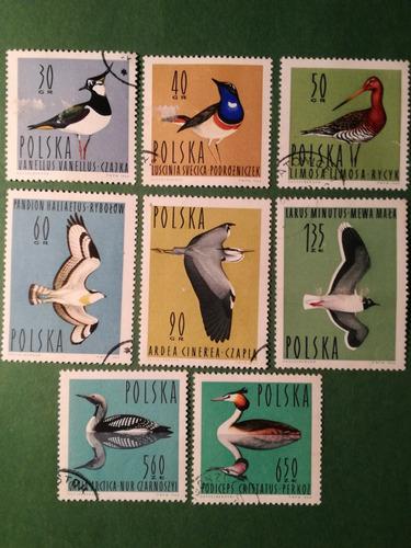 Estampillas Polonia, Serie: Waterbirds In Poland, 1964