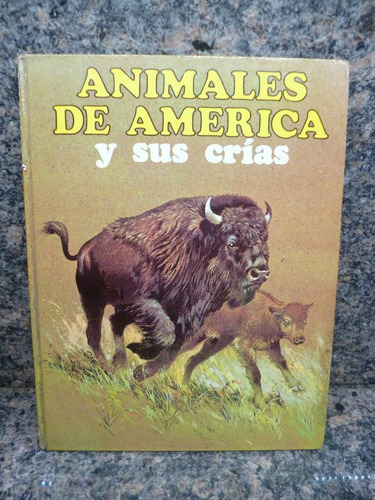 Libro Animales De America Y Sus Crias