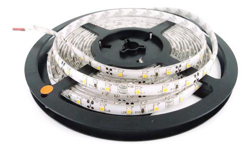 Rollo Cinta De Luces Led 12v Blanco 5 Metros Iluminacion Led