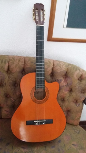 Guitarra Acustica D André Nueva, Impecable Con Su Funda