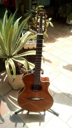 Guitarra Apx9-nt Cuerdas De Nylon