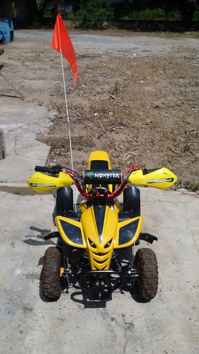 Mini Moto Gasolina Cuatrimoto Atv Quads 49cc 2t