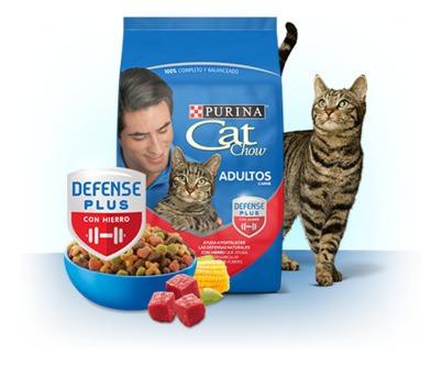 Gatarina Cat Chow Purina (8kg)