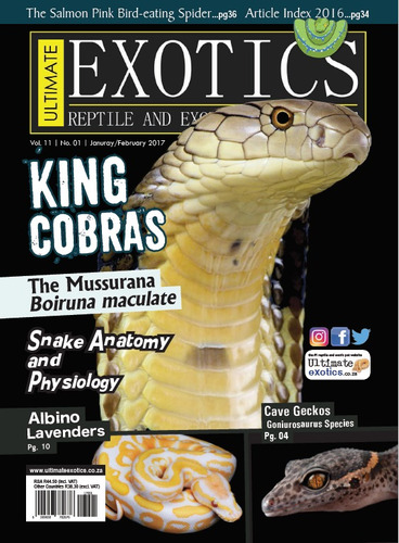 D G T Inglés - Ultimate Exotics - King Cobra