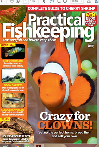 D - Inglés - Practical Fishkeeping - Crazy For Clownl