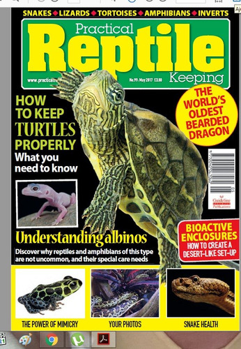 D - Inglés - Practical Reptile - How To Keep Turtles