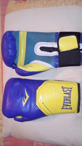 Guantes De Boxeo Everlast 14 Onz