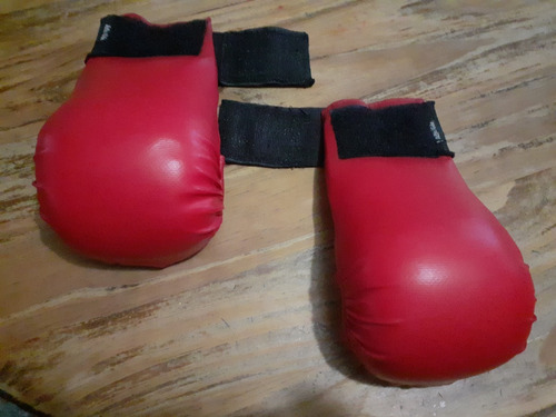 Guantes Para Combate Artes Marciales Bushido