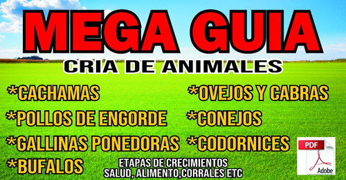 Megaguia,cria De Pollo,cochinos,ovejos,cabras,gallinas Y Mas