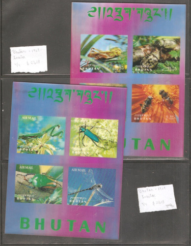 Insectos