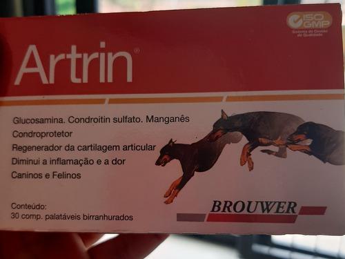 Artrin Brower Perros