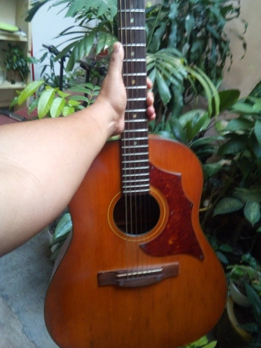 Guitarra Acústica Hohner