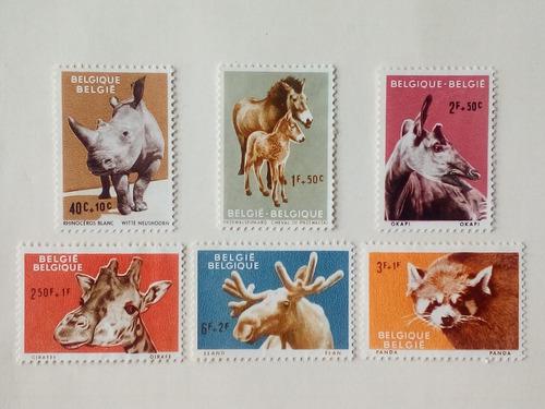 Estampillas De Belgica. Serie: Animales Zoo Antwerp. 1961.
