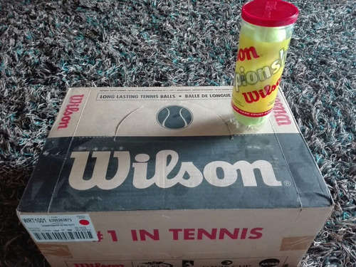 Pelotas De Tennis Wilson - Nuevas