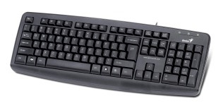 Teclado Genius Kb-110x Negro Ps2 