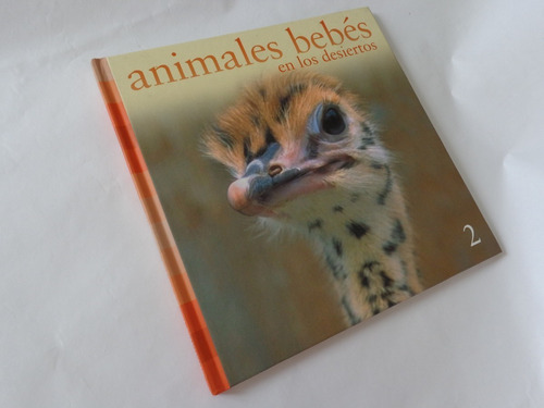 Animales Bebes En Los Desiertos Libro Infantil 2