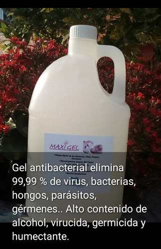 Gel Antibacterial Maxigel