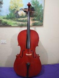 Violoncello, Chelo, Cello, 4/4 215 Vrds