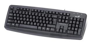 Teclado Genius Kb-110x Negro Ps2 31300710101