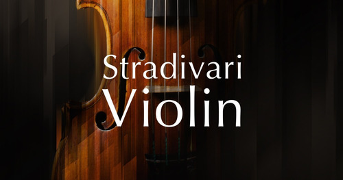 Violin Stradivari Libreria Konatkt