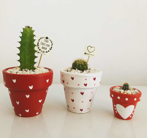 Cactus Para San Valentin