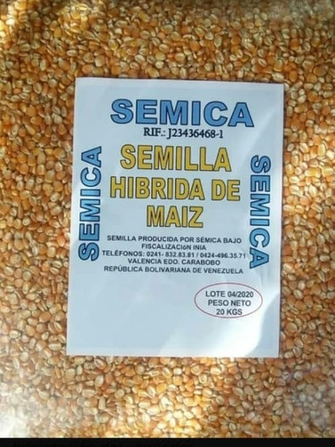 Semilla De Maiz Amarillo Certificadas