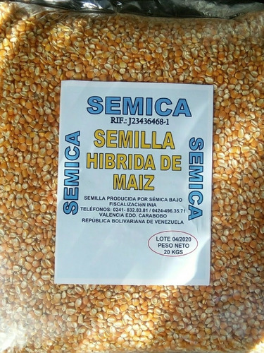 Semillas De Maiz Amarillo Certificadas