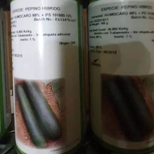 Semillas Pepino Humocaro. Mejor Precio Del Mercado