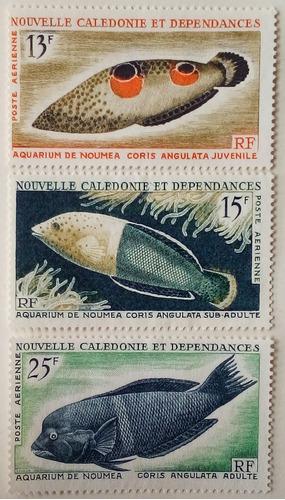 Nueva Caledonia, Peces De Acuario De Nouméa. Año: 1965.