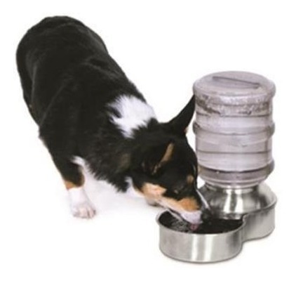 Bebedero Gatos O Perros 4 Litros Con Base De Acero Inoxidab