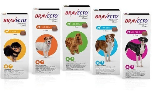 Bravecto Mata Pulgas Y Garrapatas Lo Mejor Para Perro