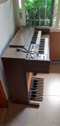 Organo De Madera